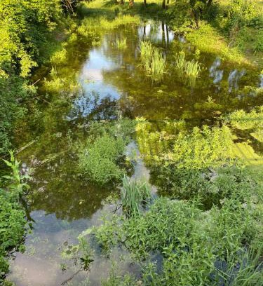 Villedieu-sur-Indre House | Family-Friendly Retreat at Le Moulin de Chambon