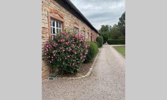 Gresswiller Apartment | Explore LE MOULIN DE GRESSWILLER: Family-Friendly Retreat