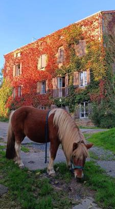 Nochize Bed & Breakfast | Le moulin de vaux