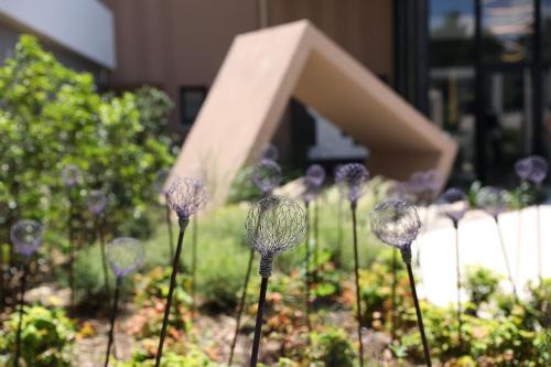 Grand Sud Hotel | Discover Le Néliö: Pet-Friendly Comfort Awaits You