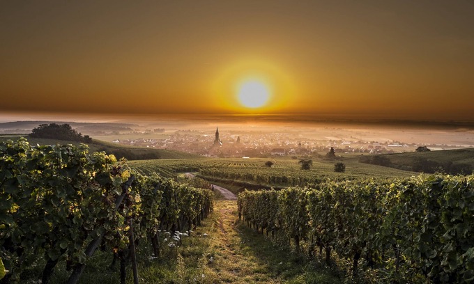 Dambach-la-Ville Cottage | Explore Le P'tit coin de chez nous: Guest Rated 9.6/10