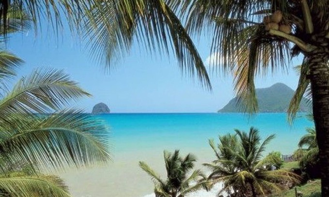 Riviere-Pilote Apartment | Guest Favorite: Le Paradis de l'Anse with Pool & Spa