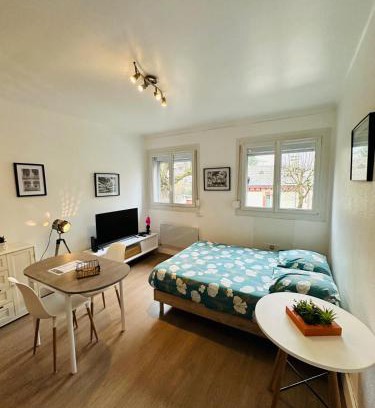 Charleville-Mezieres Apartment | Discover Le Petit Gambetta: Budget-Friendly Stay Awaits