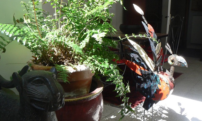 Clermont Ferrand City Centre House | LE PETIT SIAM - Cozy Guest Room in Center Clermont-FD