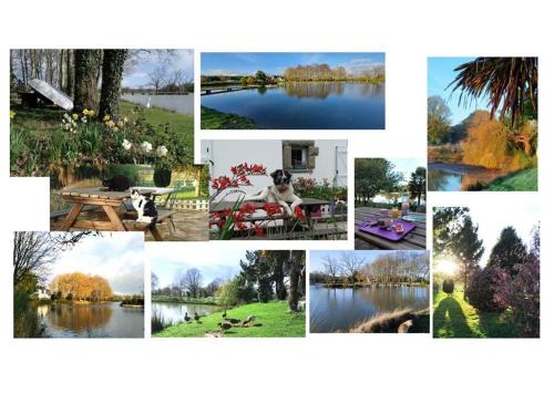 Missillac Bed & Breakfast | Discover Le Sanctuaire: Guest Rated 9/10 with Kitchenette