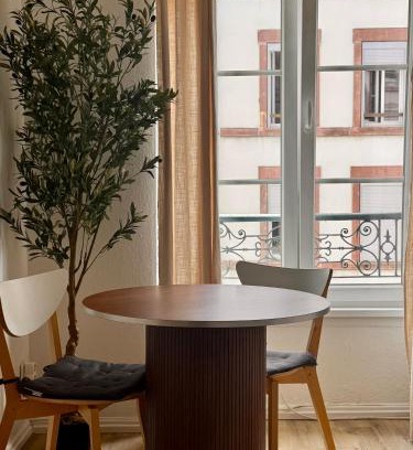 Strasbourg Apartment | Pet-Friendly Getaway at Le Strasbourgeois II