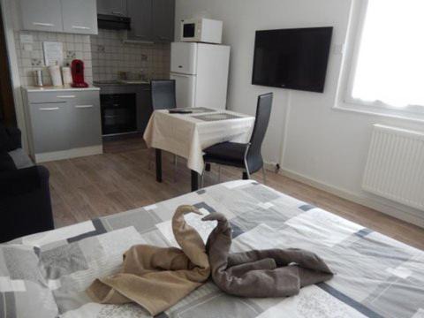 Illkirch-Graffenstaden Apartment | Discover Le Studio Sam - Guest Rated 9/10 for Comfort