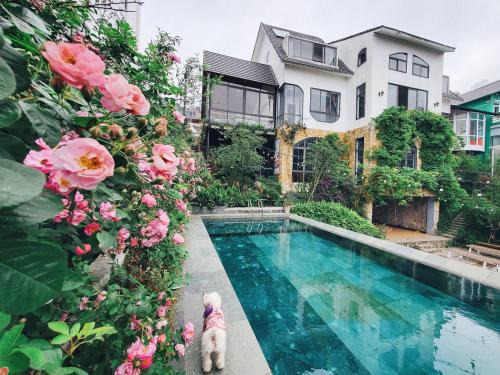 Tam Dao Hotel | Inviting Le vent Tam Đảo Homestay with Pool & Breakfast