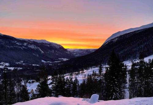 Nore og Uvdal Apartment | Scenic Uvdal Apartment with Pet and Child-Friendly Amenities