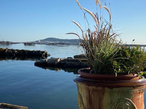 Balaruc-les-Bains House | Modern Comfort at Lemodernlounge: 4-Star Oceanfront Escape