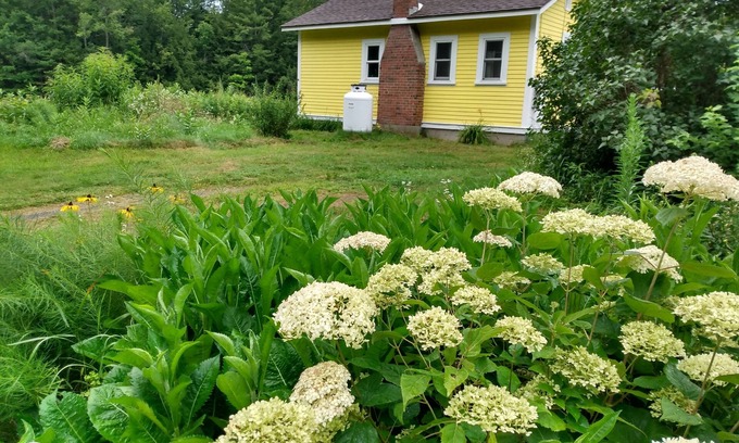 Peterborough Cottage | Cozy Lemon Drop Cottage: Ocean View & Pool Access