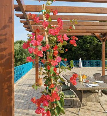 Makriotika Villa | Relaxing Lemon Tree Garden Steps from Mirtos Beach