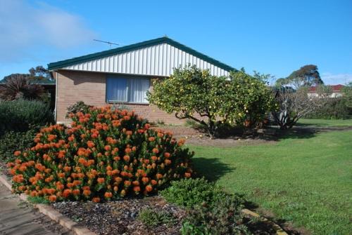 Brownlow Ki Apartment | Pet-Friendly Lemontree Cottage: A Family Retreat Awaits