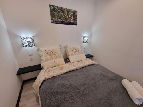 La Plaine des Cafres House | Discover LES AGAPANTHES du 27: Oceanfront Pet-Friendly Stay