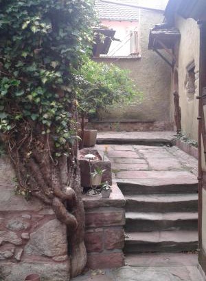 Bergheim Apartment | Pet-Friendly Getaway at Les Apparts du Gewur'z, Rated 9.2