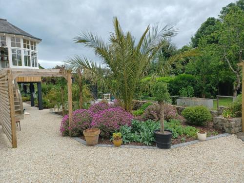 Plouezec Bed & Breakfast | les chambres du Kergolo