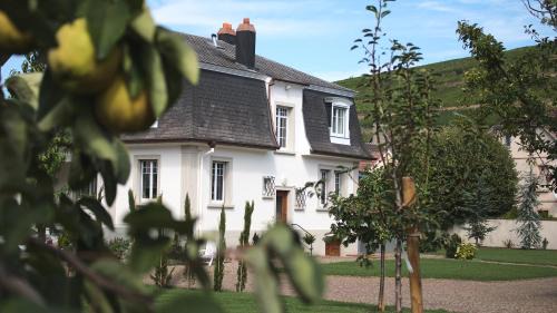 Soultzmatt House | Discover the Beauty of Les Charmes de la Vallée Noble