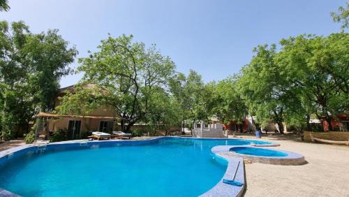 Missirah Hotel | Discover Les Fromagers: Pet-Friendly Oceanfront Retreat