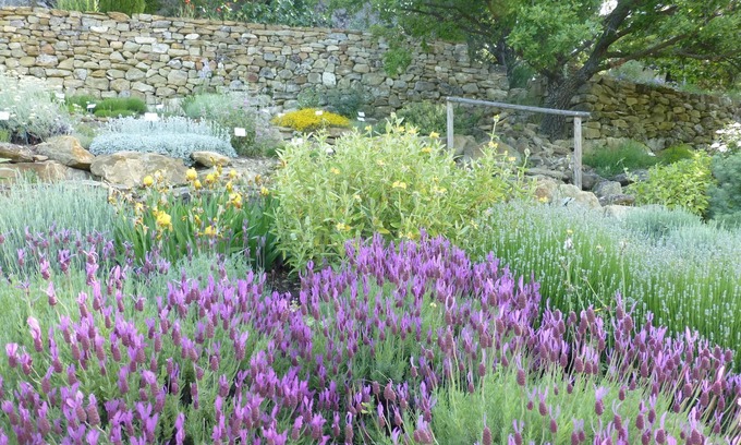 Simiane-la-Rotonde House | Experience Les Jardins de L'abbaye with Family-Friendly Perks