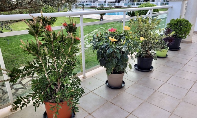 Les Deveses Apartment | Les Portelles Nº1: Ocean View Retreat with Pool Access