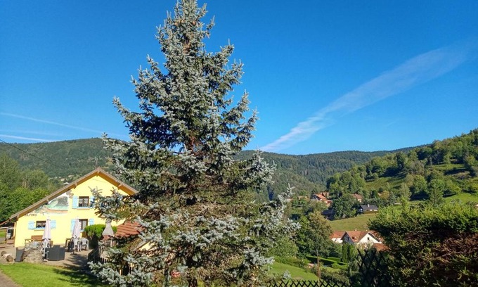 Bussang Bed & Breakfast | Pet-Friendly Getaway at Les Sapins - Rated 9/10 by Guests