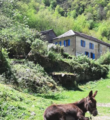 Seix Other | Discover Hôme des bois: Your Cozy Getaway Awaits