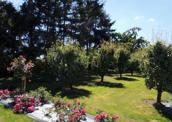 Chance Bed & Breakfast | Discover Les Stiers: Family-Friendly with Kitchen Access