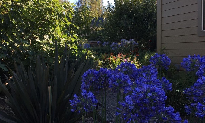 Sebastopol House | Experience Radiant Relaxation with Pool and Spa Amenities