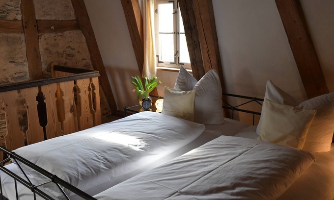 Ickelheim Other | Historic Farmhouse with Spa, Pool and Scenic Trails Nearby
