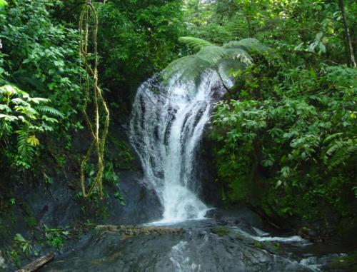 Naranjito House | Discover Light of Dawn: Family-Friendly with Breakfast & More