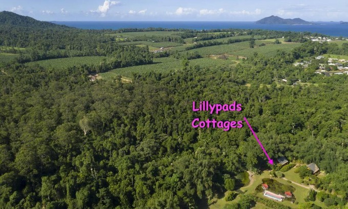 Mission Beach House | Relax at Lillypads Red Cottage - Rainforest Serenity Awaits