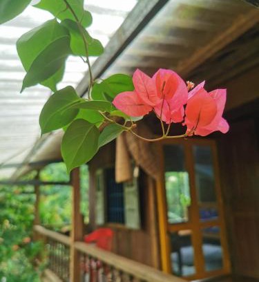 Dak Mil House | Budget-Friendly Stay at Lily's Stone Garden Dorm Room