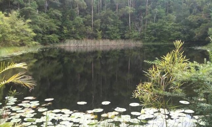 Stewarts River House | Pet-Friendly Lilypad Lodge with Pool & Breakfast in Stewarts River
