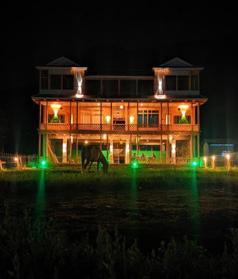 Arang Kel House | Lime wood