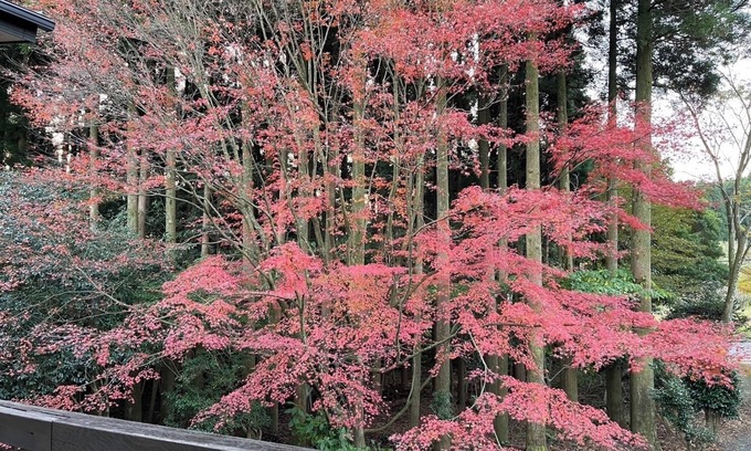 Kirishima House | Exclusive Group Retreat at Miraisou - Kirishima Kagoshima