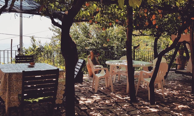 Minori Villa | Experience Limoneto degli Angeli Amidst Amalfi's Lemon Trees