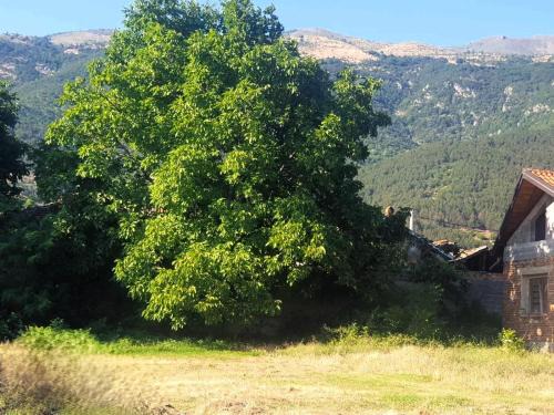 Karlovo Other | Pet-Friendly Getaway at Lina Gio Camp for Families