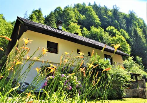 Lower Carniola Region House | Top-Rated LINCA Hiška pod slapom with Family-Friendly Perks