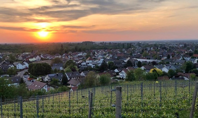 Illenau House | Discover Family-Friendly Comfort at Linde Oberachern