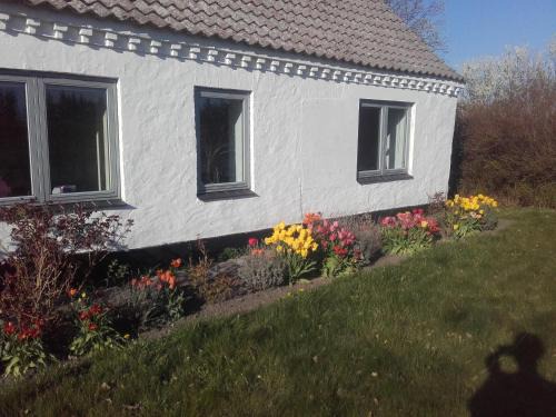 Fjerritslev Bed & Breakfast | Kid-Friendly Lindholt: Highly Rated with Kitchen Amenities