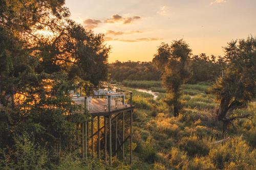Mbombela Cabin | Experience Lion Sands Narina Lodge: 5-Star Safari Retreat
