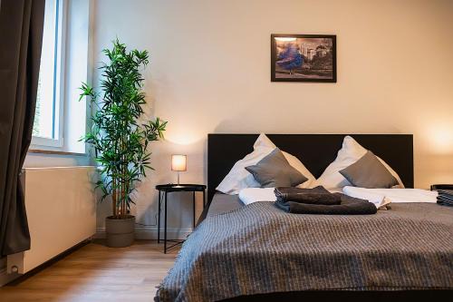 Altstadt I Apartment | Pet-Friendly ND Hotels & Apartments in Mülheim City Center