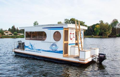 Priepert Boat Rental | Lisa Boot 1: Guest Rated 9/10, Ideal for Families and Pets