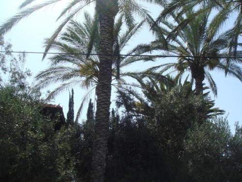 Rishon LeTsiyon Cabin | Discover Lisa's Farm Place: Pet & Child Friendly Retreat