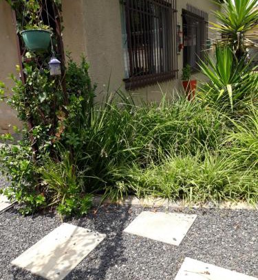 Middelburg Apartment | Inviting Lisané Accommodation with Breakfast & Accessibility