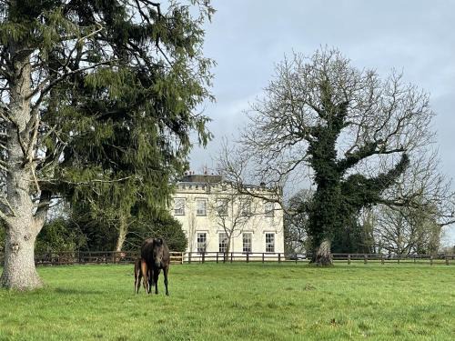 Bansha House | Discover Lismacue House: 4-Star Stay with Family Amenities