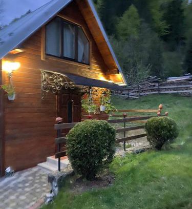 Snidavka House | Lisowa Hatka Yavoriv