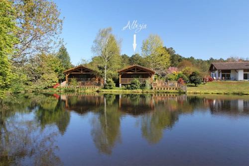 Vielle-Saint-Girons Ski Chalet | Listed lodge with pool in the heart of the Landes