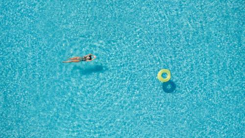 Anaxos Apartment | Experience Little Bird Lesvos: Oceanfront Bliss Awaits