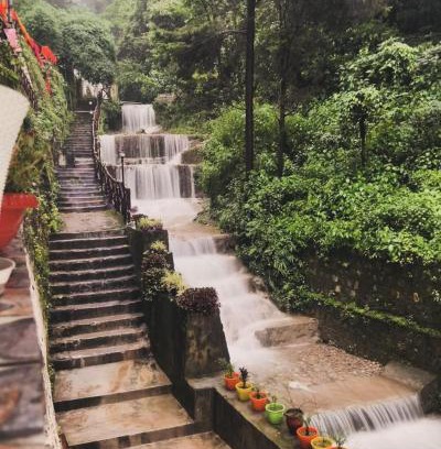 Mussoorie Cabin | Little Heaven - Cabin 2
